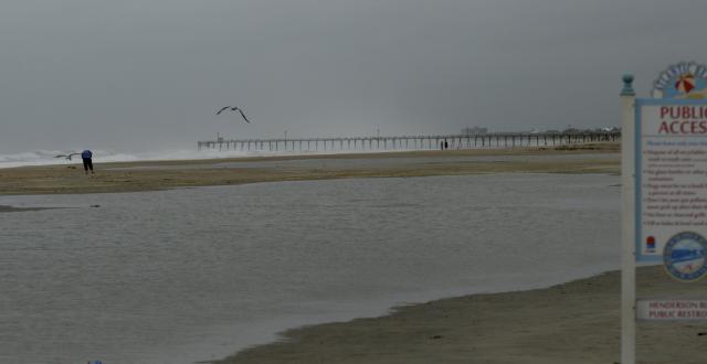 This photo was taken at the Henderson Blvd access on Atlantic Beach at 11:00. The pier in the background is the Oceanana. 