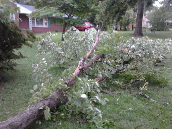 Melissa Worley in Sanford said that afternoon storms knocked down trees and power lines, cutting off electrical service to much of the city. 
