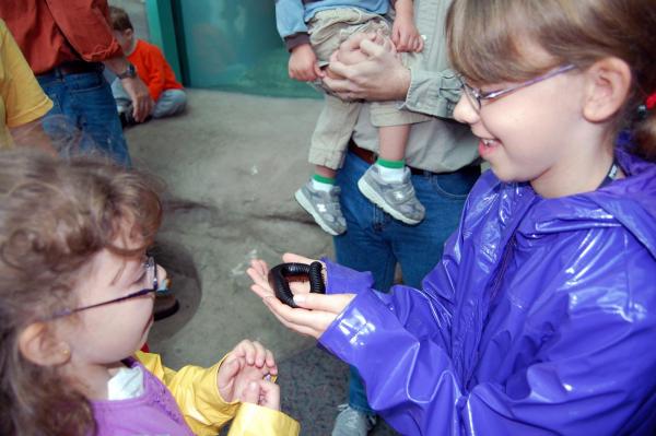 2011: Visitors taste, touch at BugFest