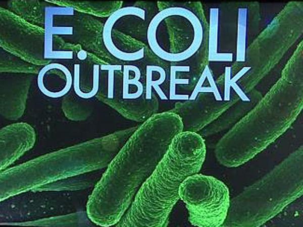 State Fair livestock building source of E. coli outbreak