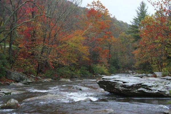 Fall Colors in the Blue Ridge Mountains