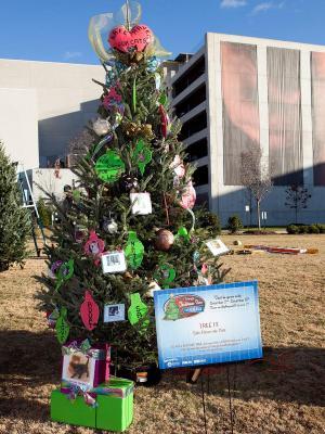 Safe Haven for Cats winning tree