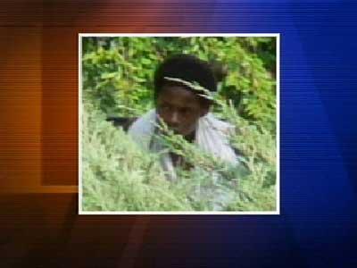 Person Wanted For Questioned -- Pullen Park