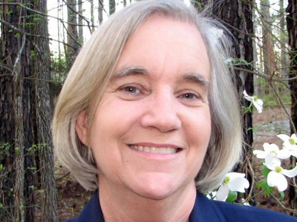 Barbara Howe, Libertarian candidate for governor