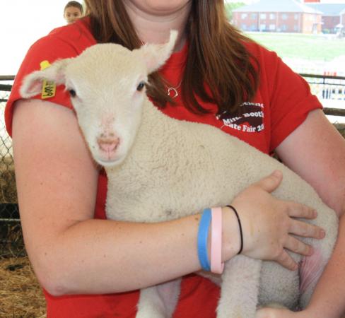 Baby animals, baby humans: NC State Farm Animals Days