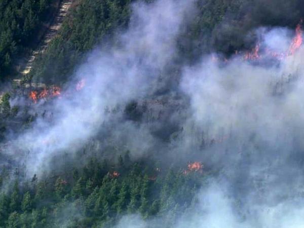Durham County woods fire burns 30 acres