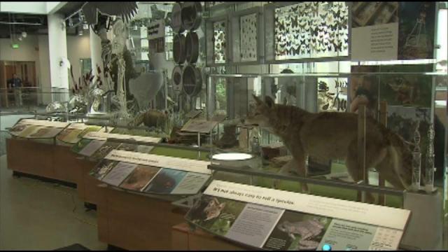 Museum opens new look at science