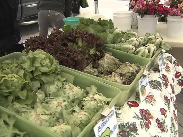 Raleigh Downtown Farmers Market opens