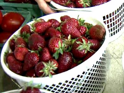 Farmer's Market celebrates 'Strawberry Day'