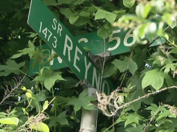 Boy riding four-wheeler killed in Franklin County wreck