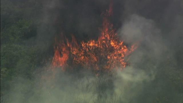 Raw: Fire burns in Croatan National Forest