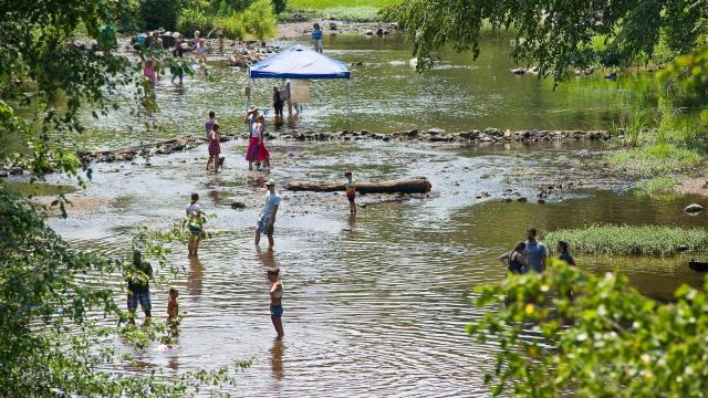 Festivals in NC: Festival goers explore and wade in the Eno during the Festival for the Eno in Durham on July 7, 2012.