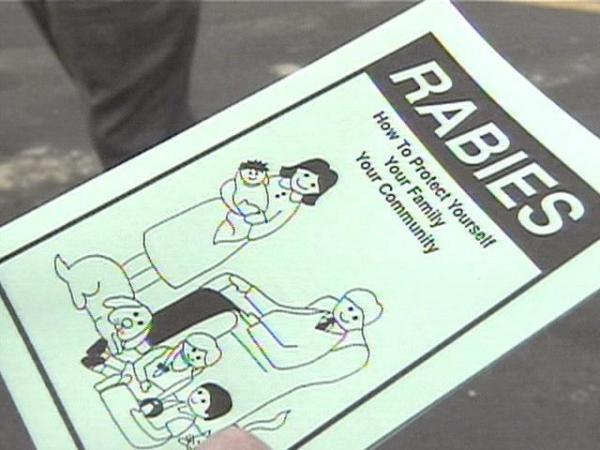 rabies-flyer