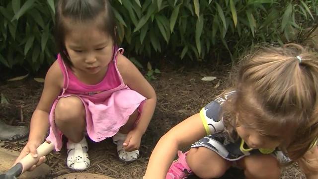 Little learners gain lessons in gardening