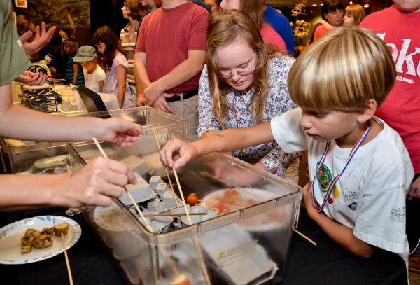 BugFest invades Museum of Natural Science