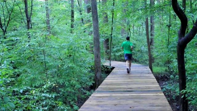 Explore four trails at this Cary nature preserve