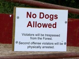 Schenck Forest - No Dogs Allowed