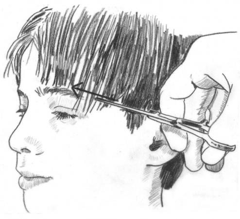 Illustration from How to Cut Children's Hair