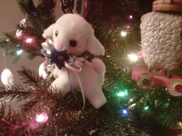 One of the many lambs adorning Amanda Lamb's Christmas tree. They were collected by her mother.
