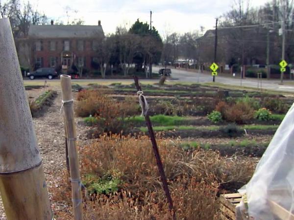 Supporters say urban farms can blossom in Raleigh