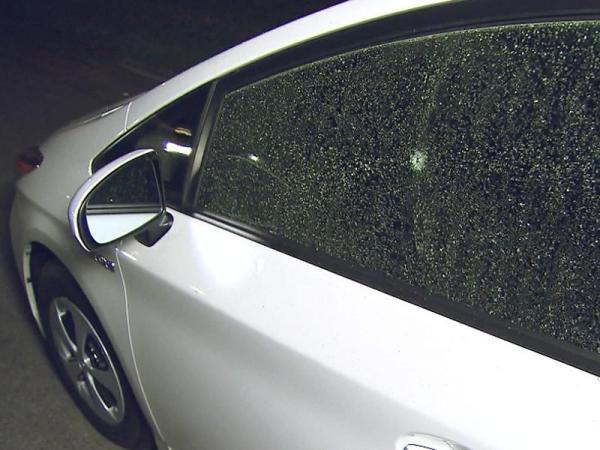 12/11: BB gun vandal strikes in Cary