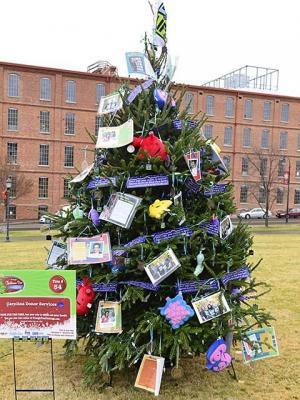 Winners of the 2012 Triangle Christmas Tree Challenge