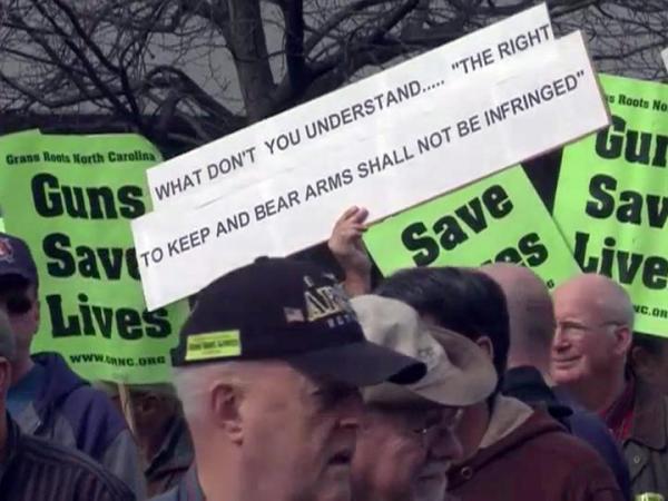 Hundreds rally for gun rights