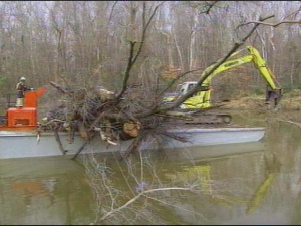 A barge is being used to pull out fallen trees and branches, left behind by Hurricane Floyd in Rocky Mount.(WRAL-TV5 News)