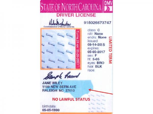 Dems call for ban on 'pink stripe' licenses 
