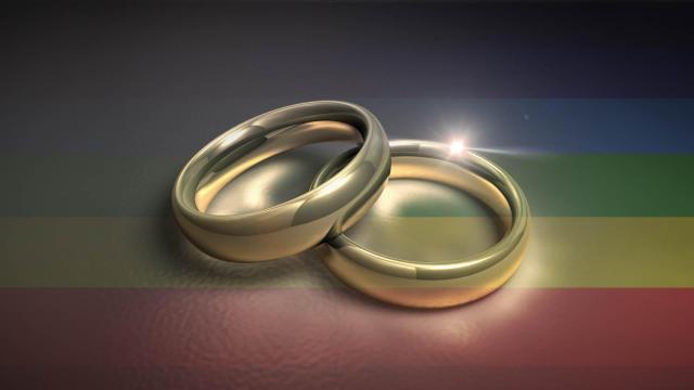 ACLU to challenge NC's gay marriage ban