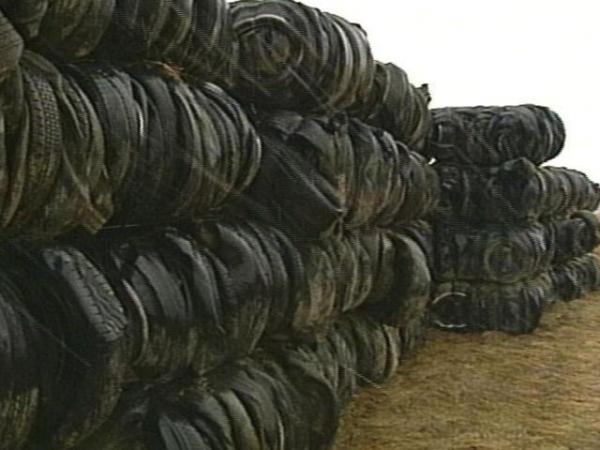 This pile of tires were once used on cars. But now they will help the environment. 