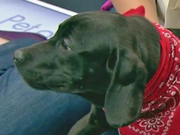 Pet of the Day: May 16, 2013