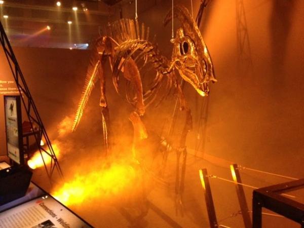 Dinosaurs in Motion exhibit at the N.C. Museum of Natural Sciences