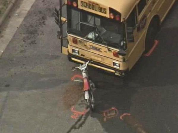 Biker Injured in Collision With School Bus
