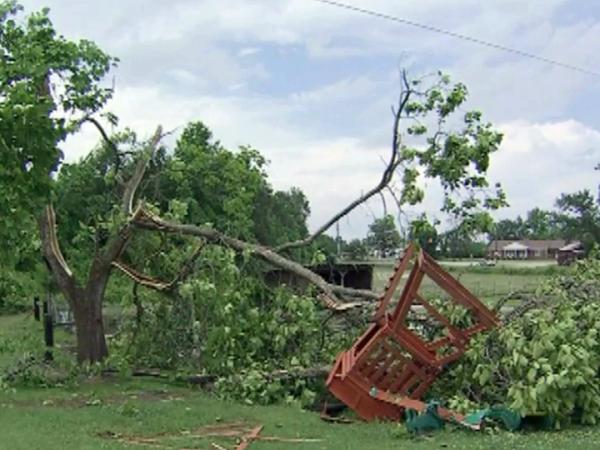 Storms wreak havoc on Wake family's backyard