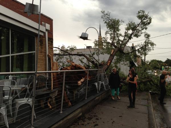 A huge tree crashed onto the patio of NOFO at the Pig restaurant in the Five Points neighborhood of Raleigh. Photo courtesy of Natalie Brickell