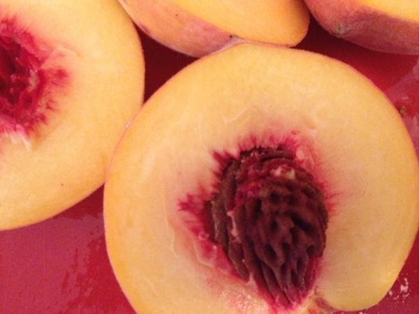 Peaches from Pee Dee Orchards, sold at the State Farmers' Market