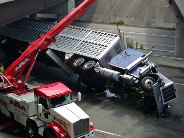 Tractor-trailer carrying pigs overturns on I-95 near Fayetteville