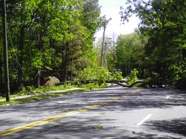 Wind Brings Down Trees, Power Lines in Chapel Hill
