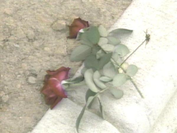 Roses mark the spot where Charles Willis lost his life.