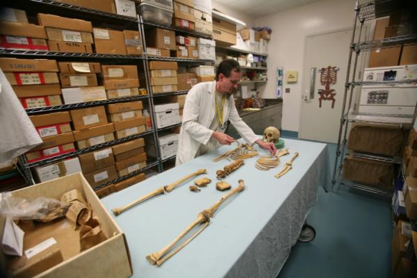 Medical examiner specialist Clyde Gibbs Jr. puts together the skeleton of a boy, believed to be 10 to 12 years old, who was found dead in Orange County on Sept. 25, 1998. The boy's remains are stored in the osteology (bone) room at the N.C. Office of the Chief Medical Examiner in Raleigh.