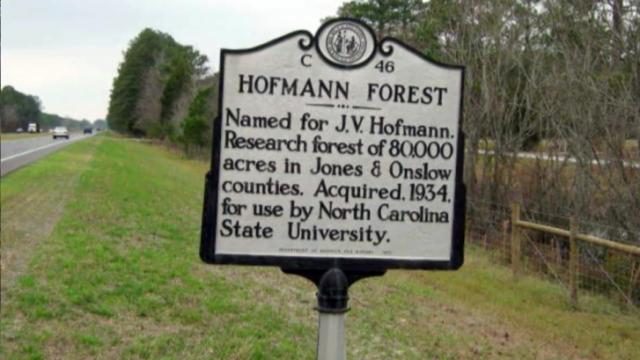 Hofmann Forest sign