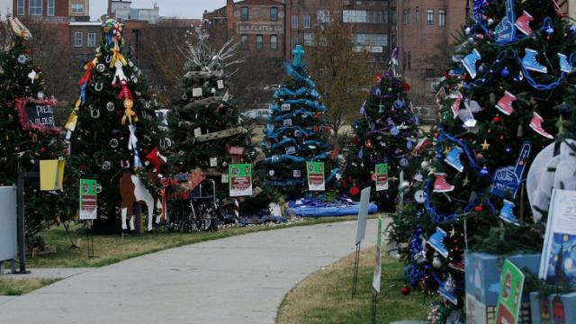 2013 Triangle Christmas Tree Challenge