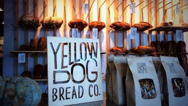 Yellow Dog Bread Co