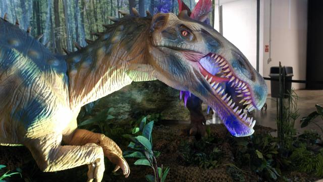 Dinosaurs are returning to Raleigh 