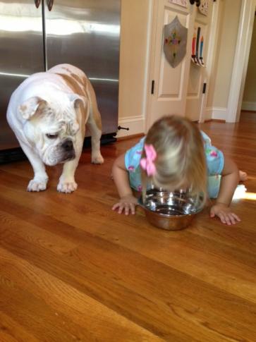 Sloane Heffernan's daughter shows Rosie, the dog, how it's done.