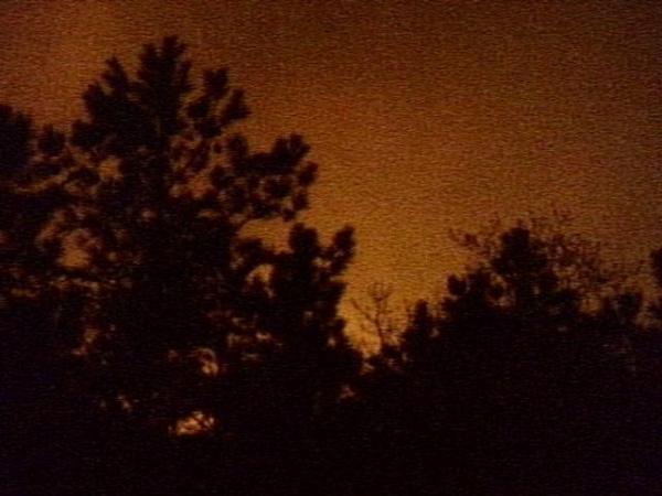 The glow of advancing flames lit up the night sky in Harnett County.(WRAL-TV5 News)