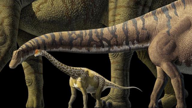 Natural sciences museum opens 'The World's Largest Dinosaurs' Saturday