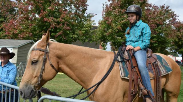 New at N.C. State Fair this year: Learn how to ride a horse during a 5-minute lesson.