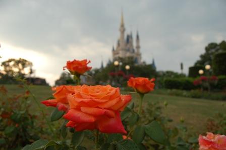 Disneyworld Flower Garden